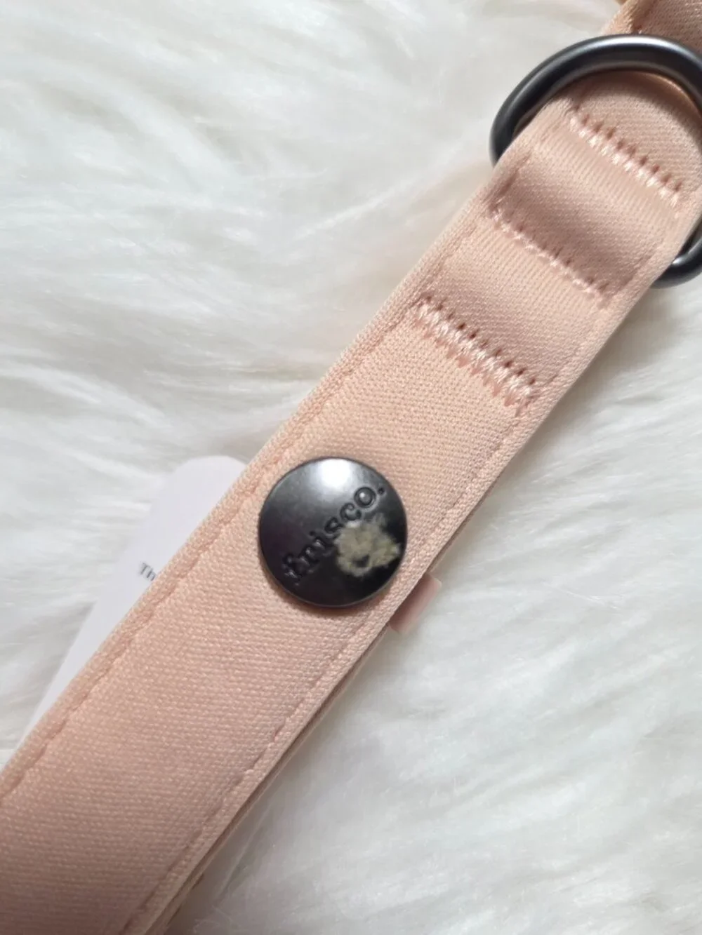 Frisco Monochromatic Pale Pink Dog Collar